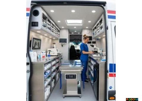 Выезд ветеринара на дом