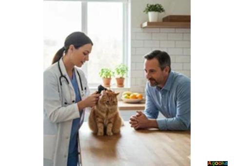 Выезд ветеринара на дом