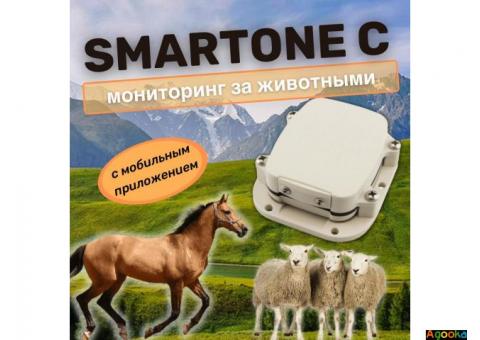 SmartOne C / GPS трекер для животных, транспорта и груза