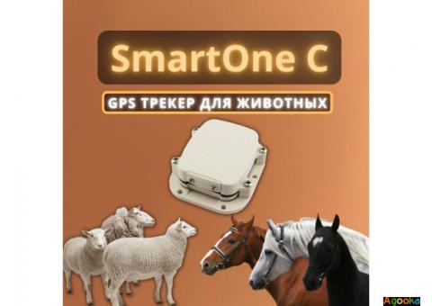 SmartOne C / GPS трекер для животных, транспорта и груза