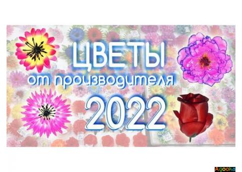 Искусственные цветы от производителя 55опторг.Скидки.Доставка.